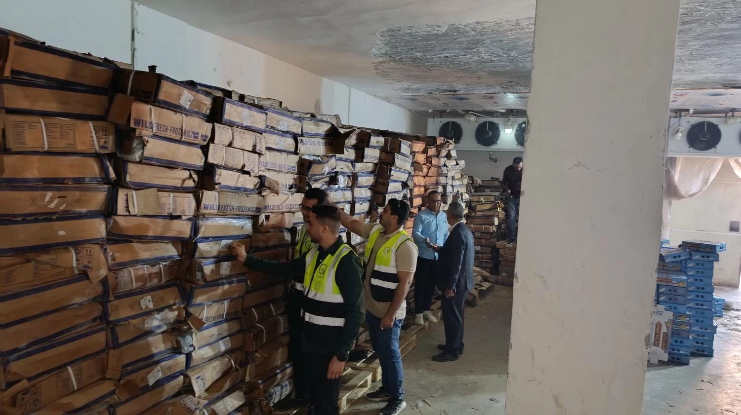 «لتصنيع الرنجة».. ضبط 41 طن أسماك «هارنج» فاسدة في حملة بالغربية