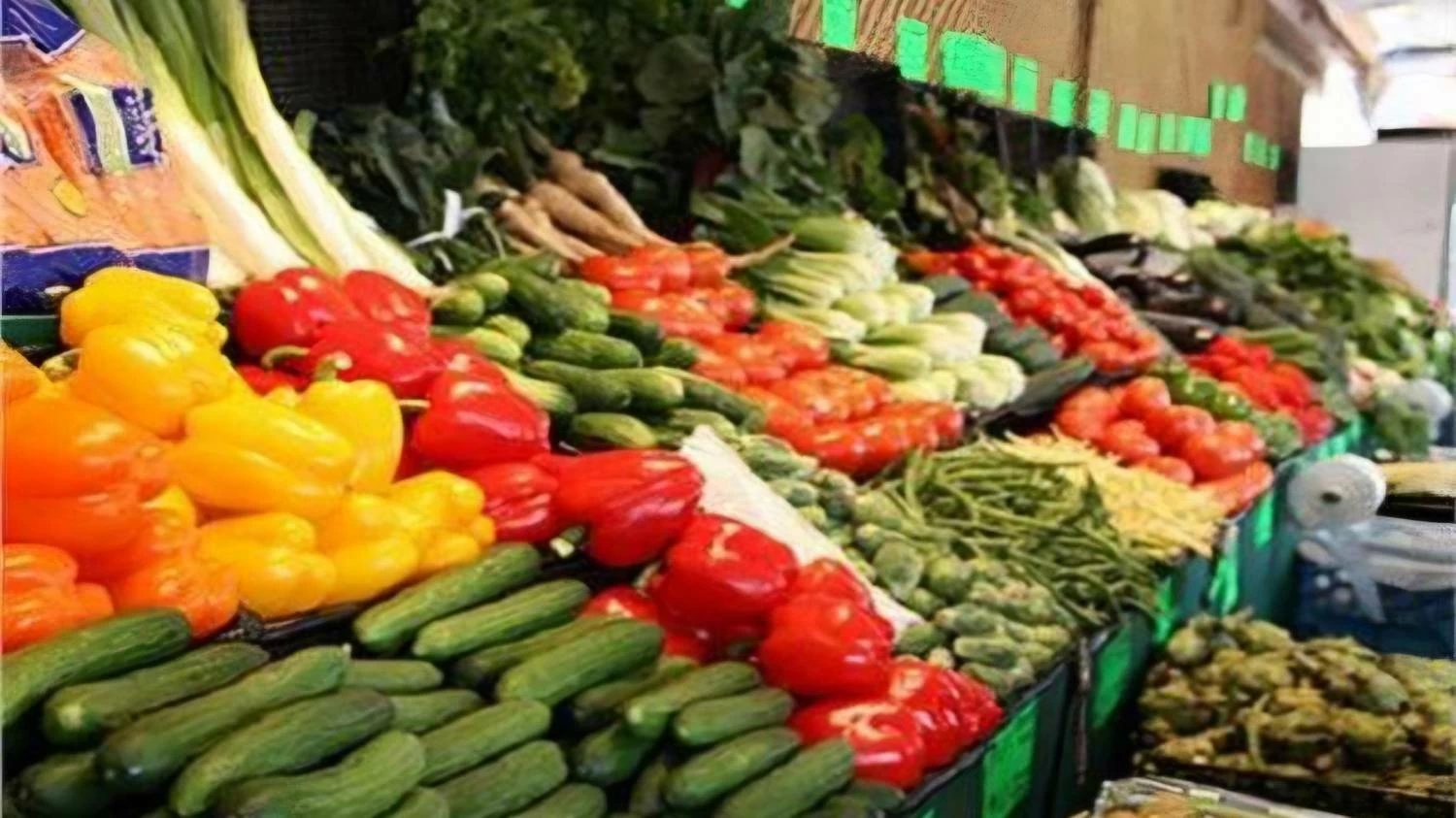 «الطماطم بـ 10 جنيهات».. أسعار الخضار والفاكهة في أسواق القليوبية اليوم السبت 17 أكتوبر 2026