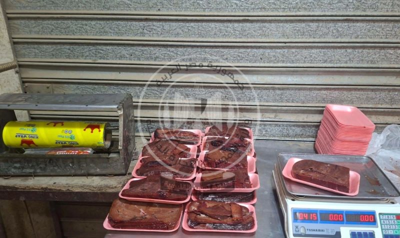 ضبط 2 طن و250 كيلو أسماك وكبدة ولحوم مفرومة مجهولة المصدر في حملات بالقليوبية