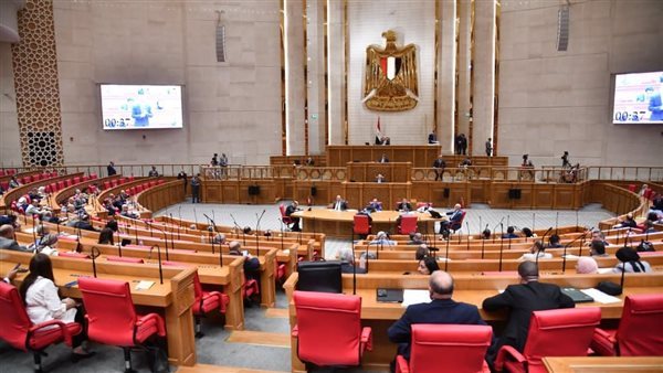 وكيل مجلس النواب يستعرض تقرير اللجنة العامة بشأن اعتراض الرئيس على قانون جامعة كيان