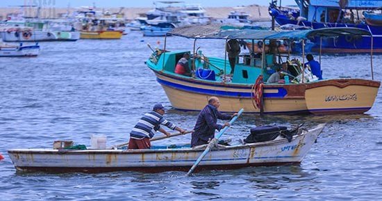 القانون يتصدى لعمليات الإضرار بمياه البحيرات وإعاقة الصيد.. اعرف التفاصيل