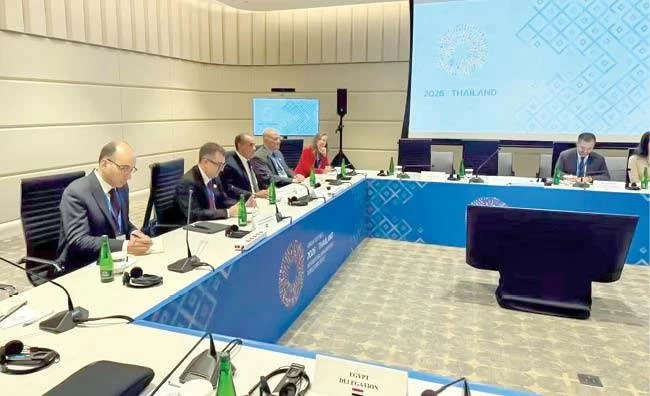 وزير التخطيط يبحث تعزيز التعاون المشترك مع «التمويل الدولية»