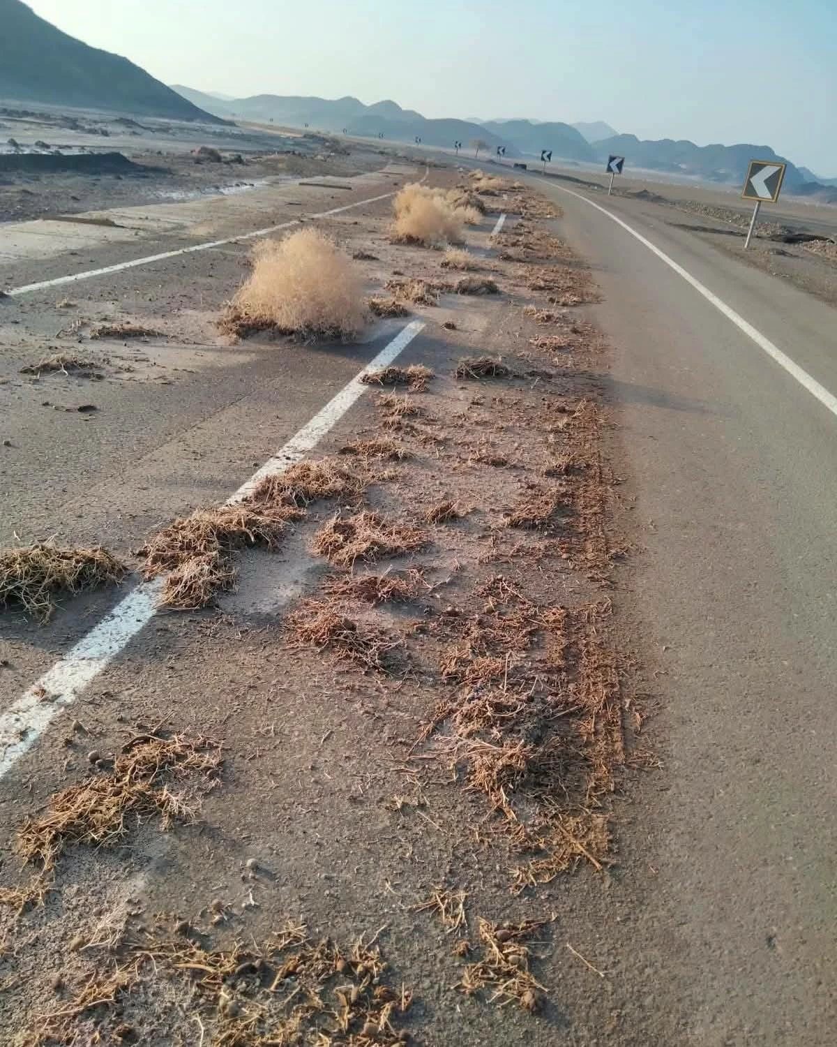 «أمطار وبرق ورعد» على رأس حدربة بالبحر الأحمر.. وفصل الكهرباء تحسبًا للتقلبات الجوية