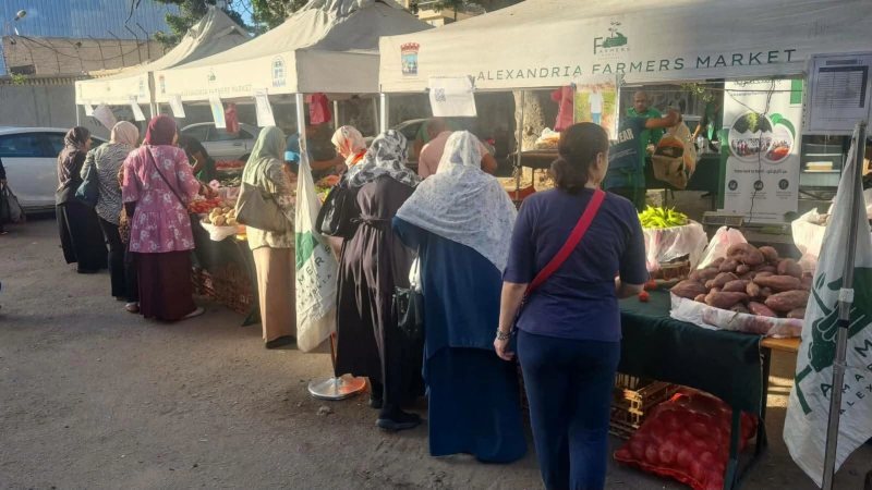 زاره 10 آلاف مواطن في 14 أسبوعا.. إقبال كبير على سوق المزارعين في «زيزينيا الإسكندرية»
