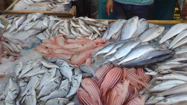 أسعار الأسماك والمأكولات البحرية في سوق العبور اليوم.. ارتفاع البلطي