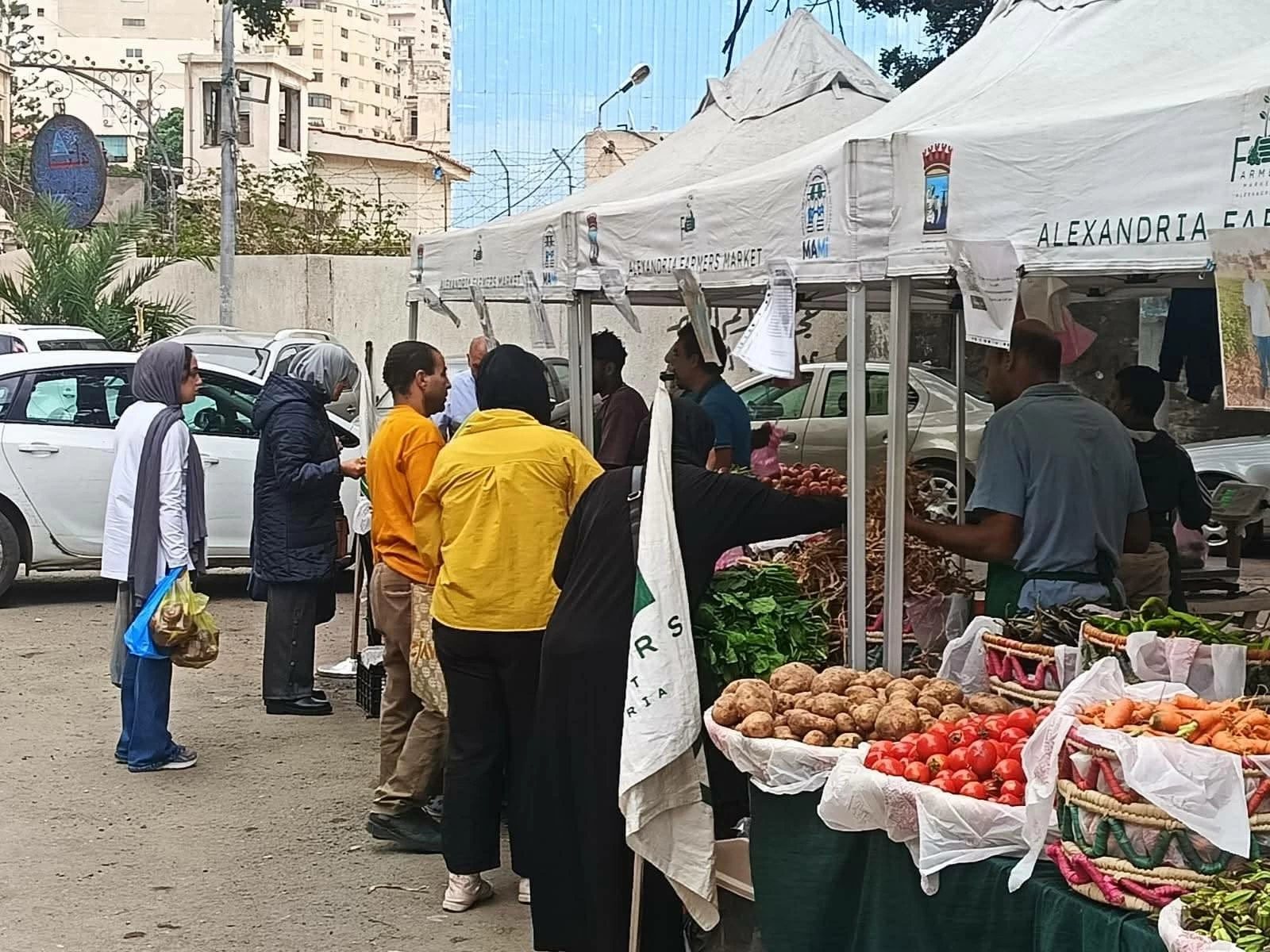 سوق المزارعين بالإسكندرية يحتفل بمرور عامين على تدشينه: «زاره 50 ألف مستهلك» (صور)