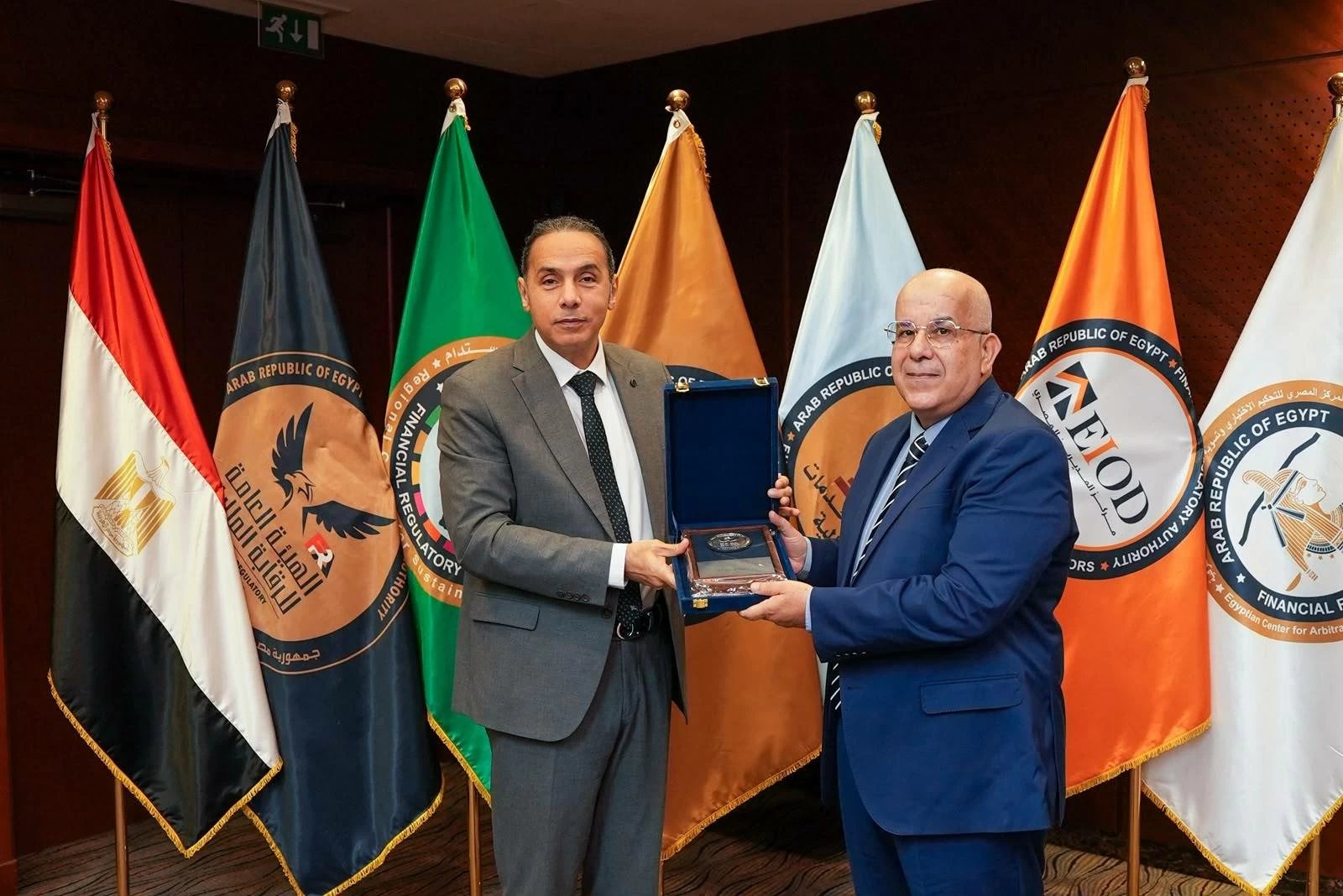 «الرقابة المالية»: قيمة أرصدة التمويل على المشروعات المتوسطة والصغيرة ومتناهية الصغر تجاوزت 101 مليار جنيه خلال الربع الثاني من 2026