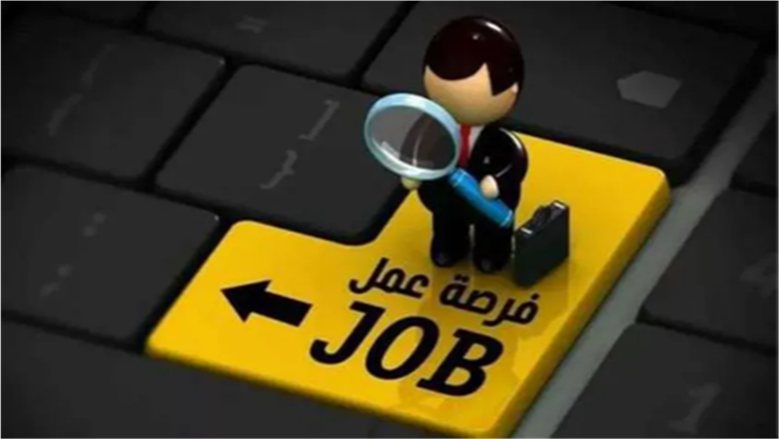 فرص عمل حكومية بالقاهرة.. تفاصيل التقديم على 12 وظيفة بمديرية التموين